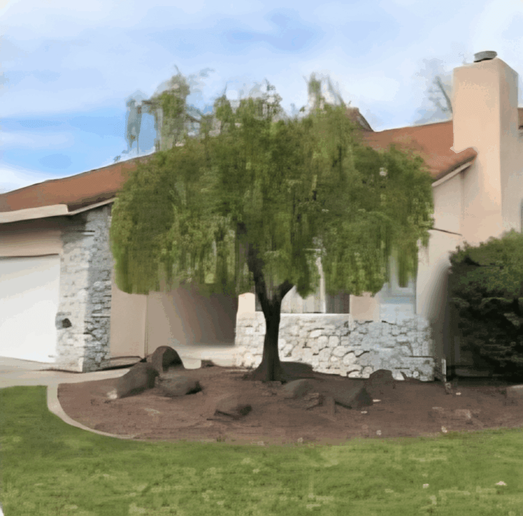 A small tree in front of a suburban house with a stone facade.