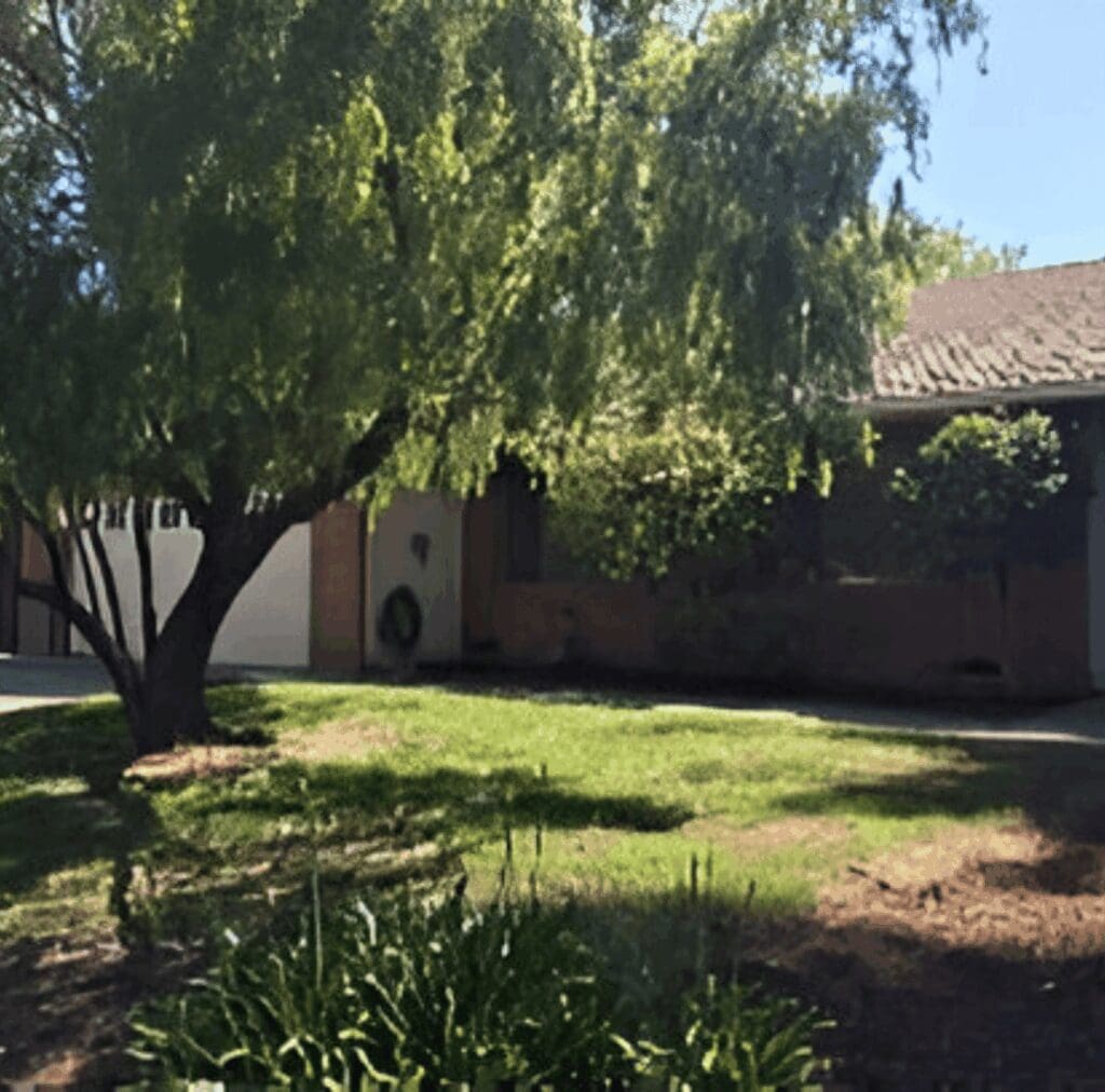 Quiet backyard with a large tree and shaded lawn near a house.