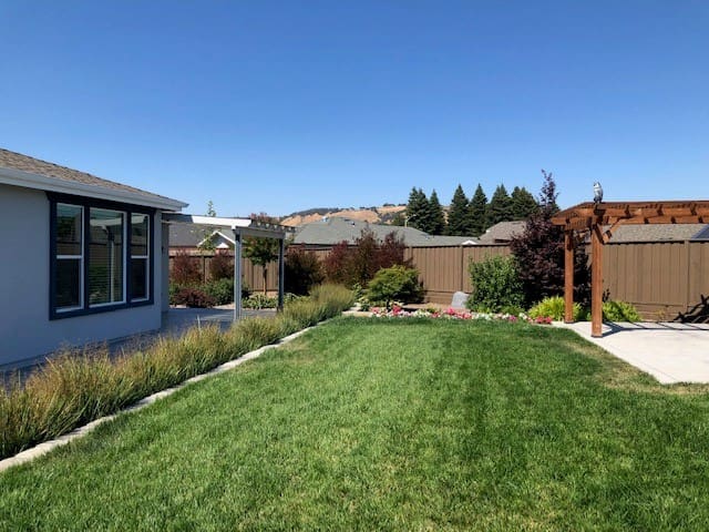 A sunny backyard with green grass and garden beds.